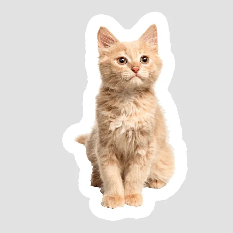 SPOKE_KissCut_Stickers_Template_2x2