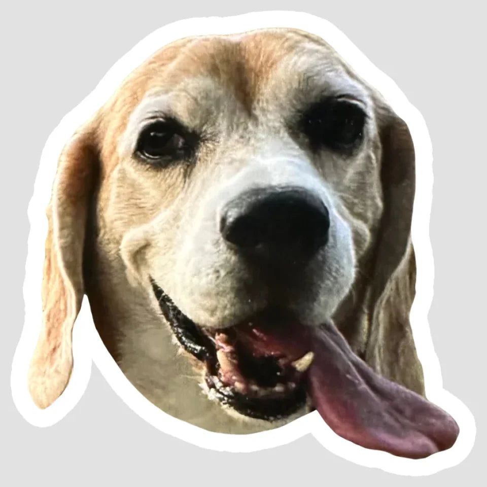 SPOKE_KissCut_Stickers_Template_3x3