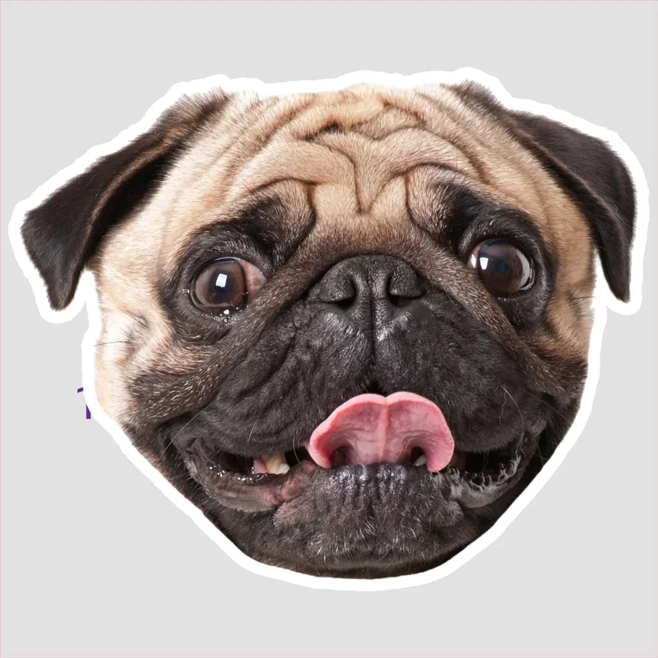 SPOKE_KissCut_Stickers_Template_6x6