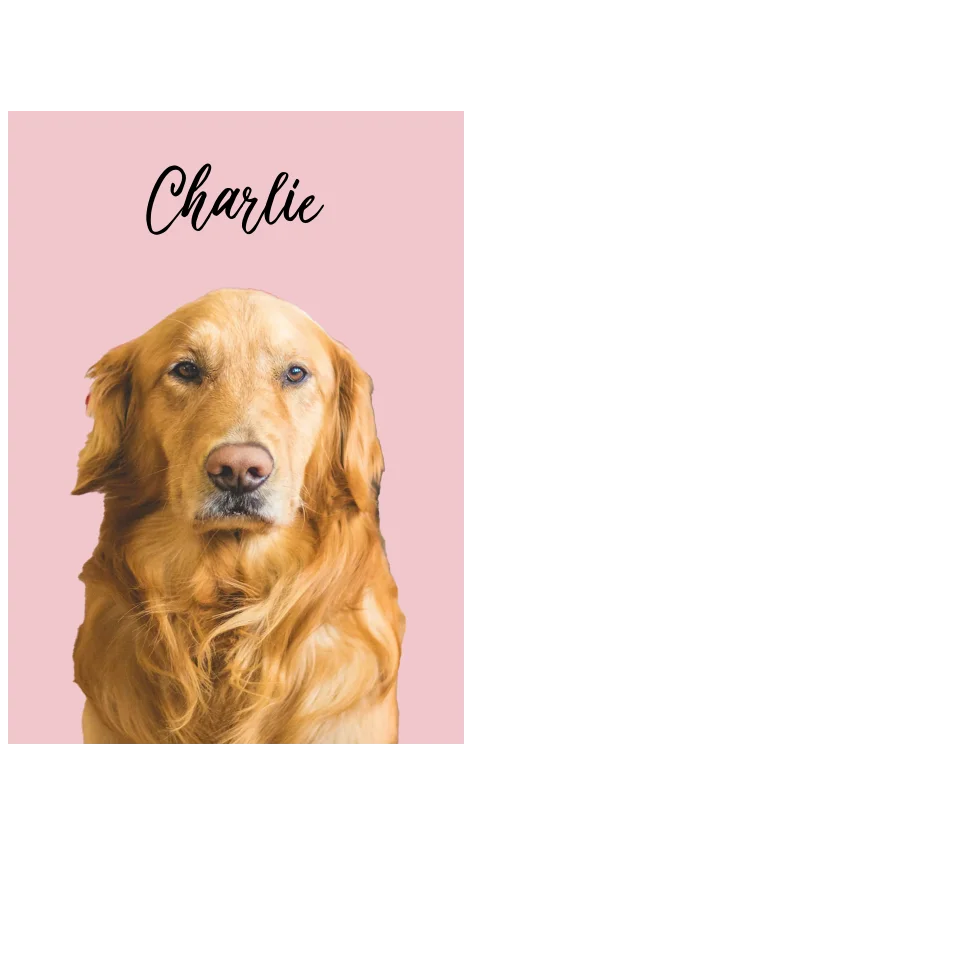 Custom Acrylic Photo Block