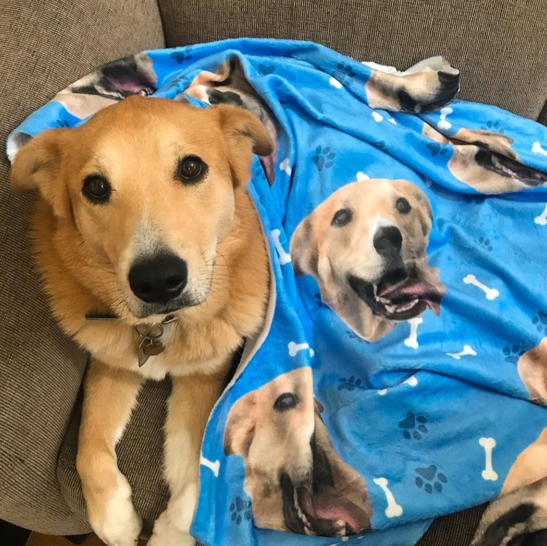 Custom PupBlanket