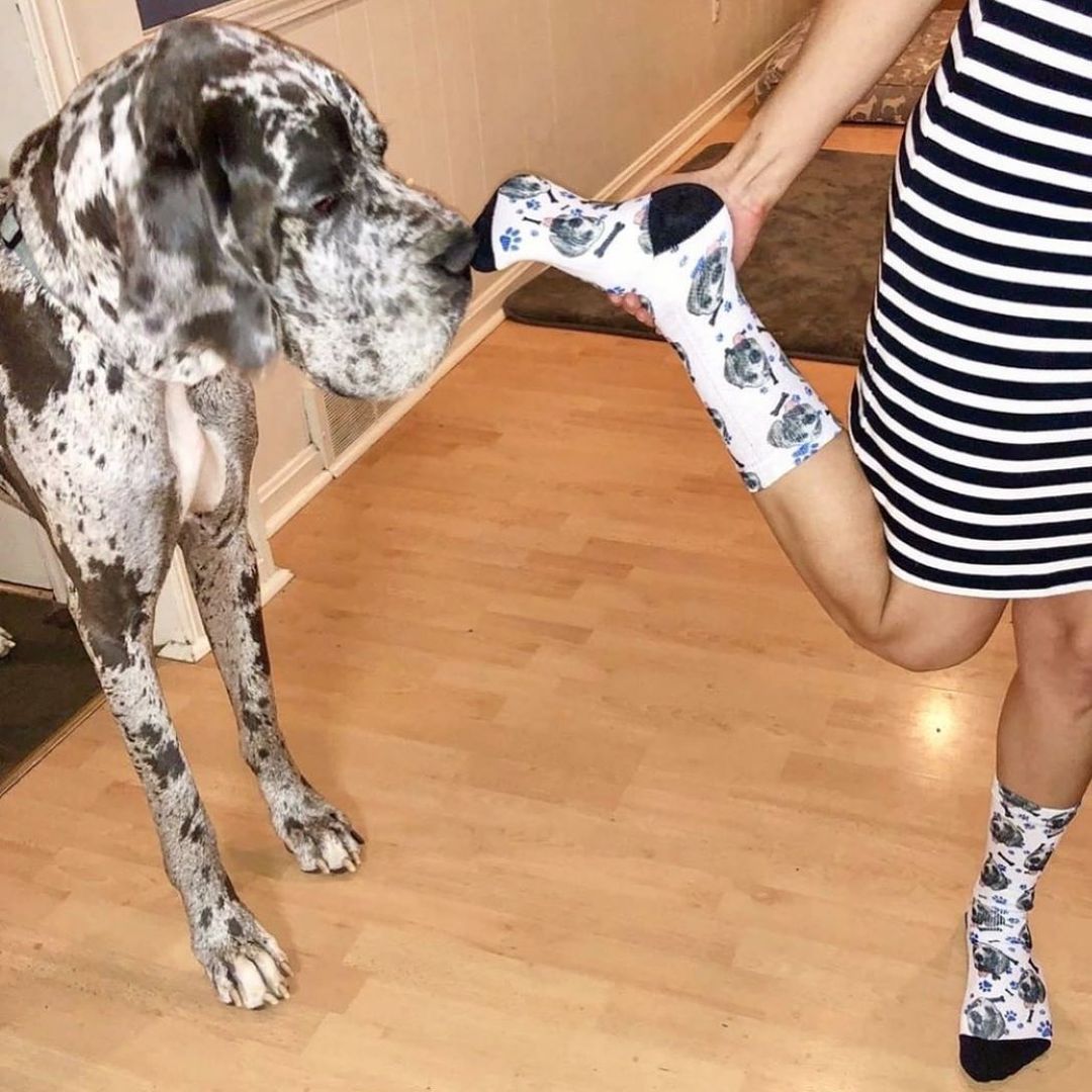 Custom Dog Face Socks - PupSocks™