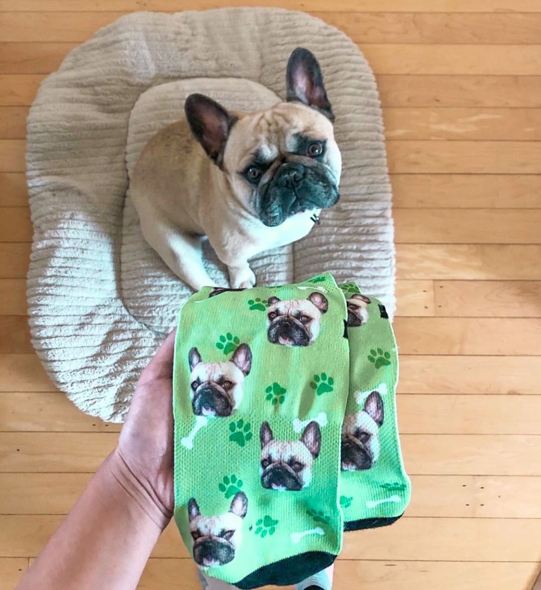 Custom Dog Face Socks - PupSocks™