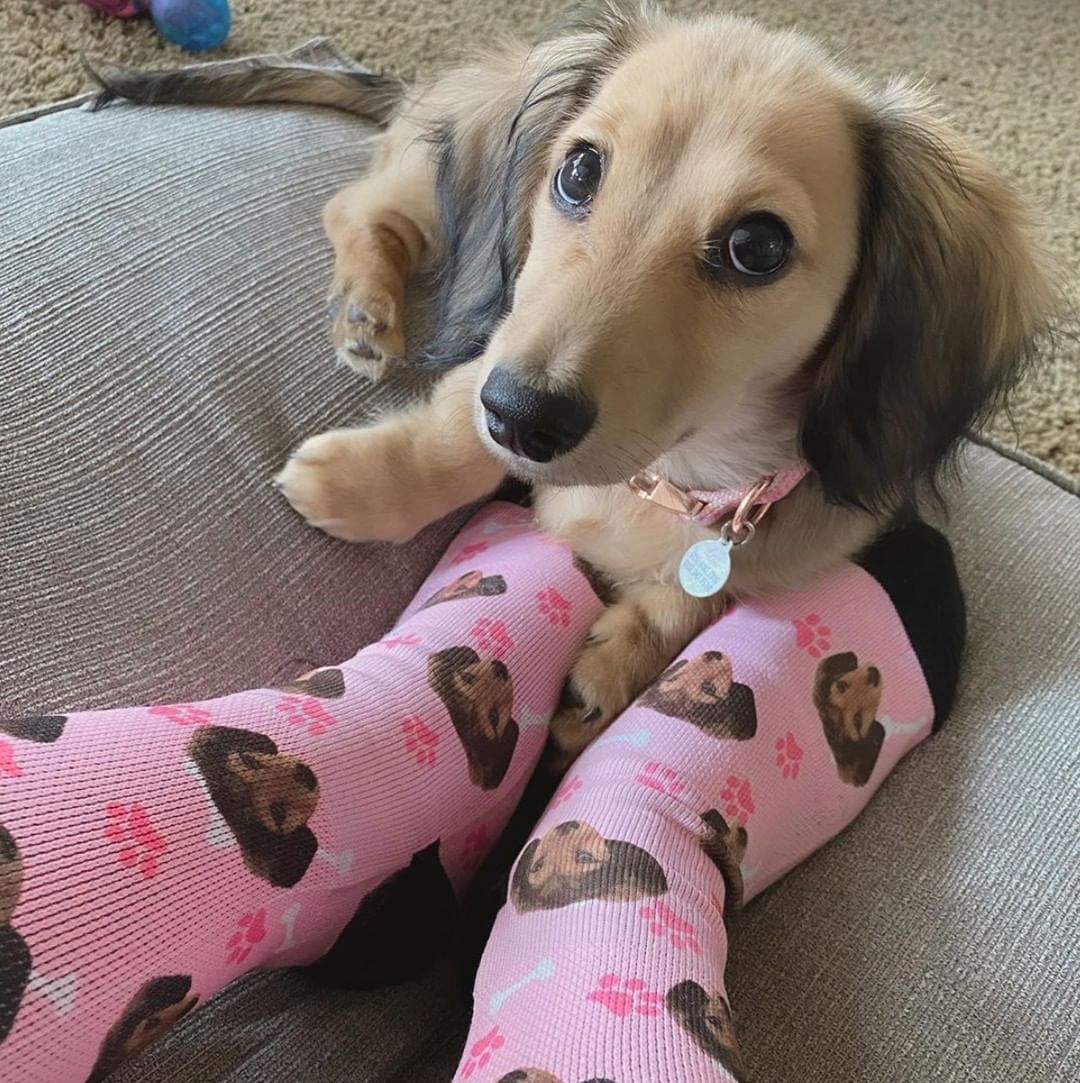 Custom Dog Face Socks - PupSocks™
