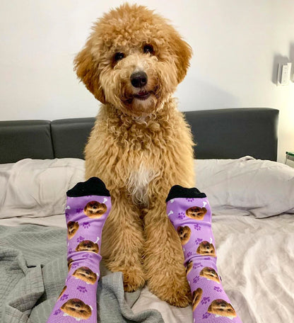 Custom Dog Face Socks - PupSocks™