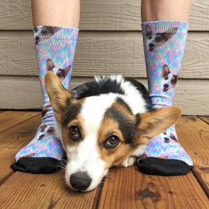 PupSocks Custom Pet Socks Accessories for Pet Lovers